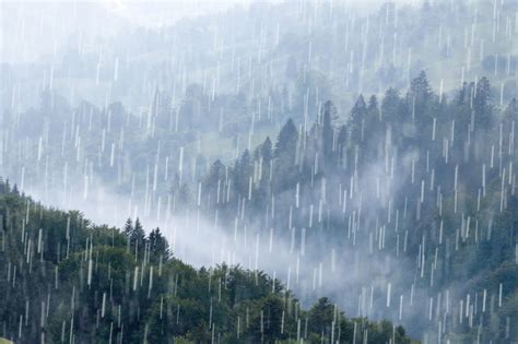 下雨|雨（自然现象）